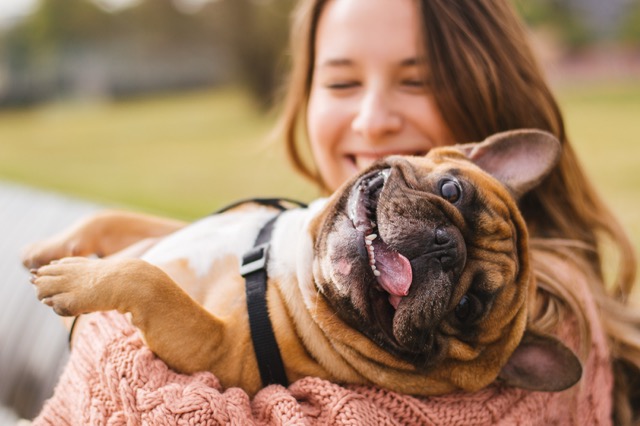 New Jersey Pet Waste Removal New Jersey Pet Waste Removal